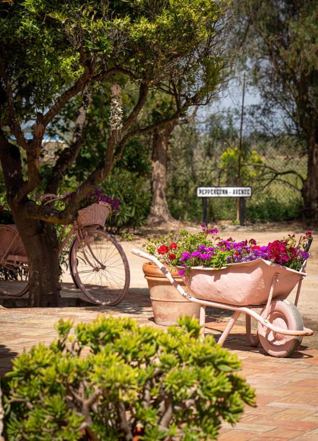 Country house Quinta Aida And *