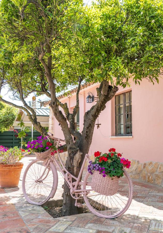 Quinta Aida And