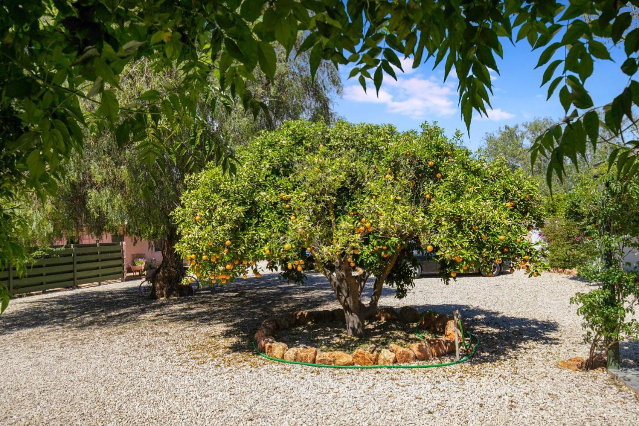 Quinta Aida And
